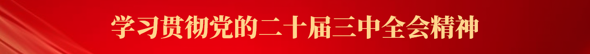 学习贯彻党的二十届三中全会精神